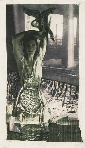 Study for American Dream